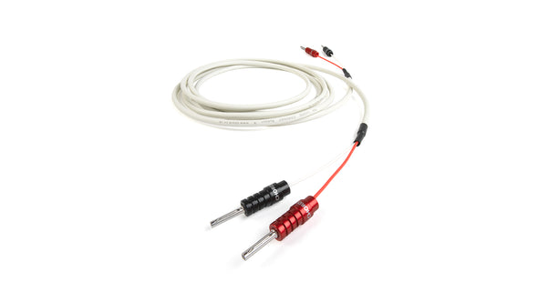 RumourX- Speaker Cable