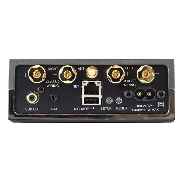 Solo Uno Streaming Amplifier